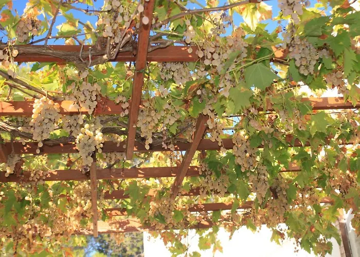 With A Parking Space Rukavac, Vis - 8863 *