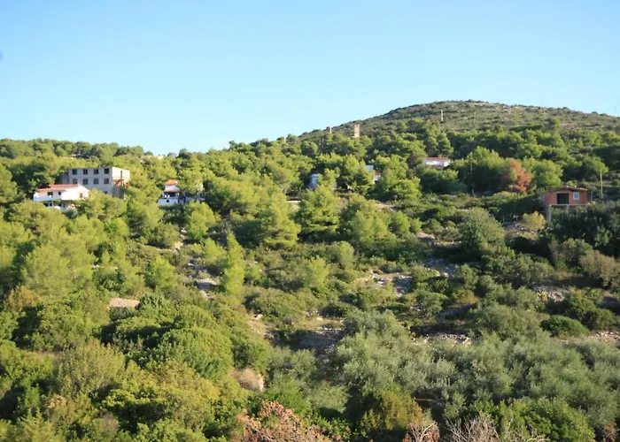 With A Parking Space Rukavac, Vis - 8863 Διαμέρισμα *